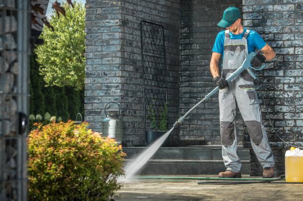 Animal Enclosure Cleaning in Taylorsville, MS