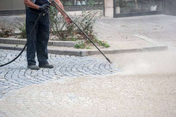 Best Dumpster Area Cleaning  in Taylorsville, MS