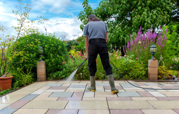 Best Animal Enclosure Cleaning  in Taylorsville, MS